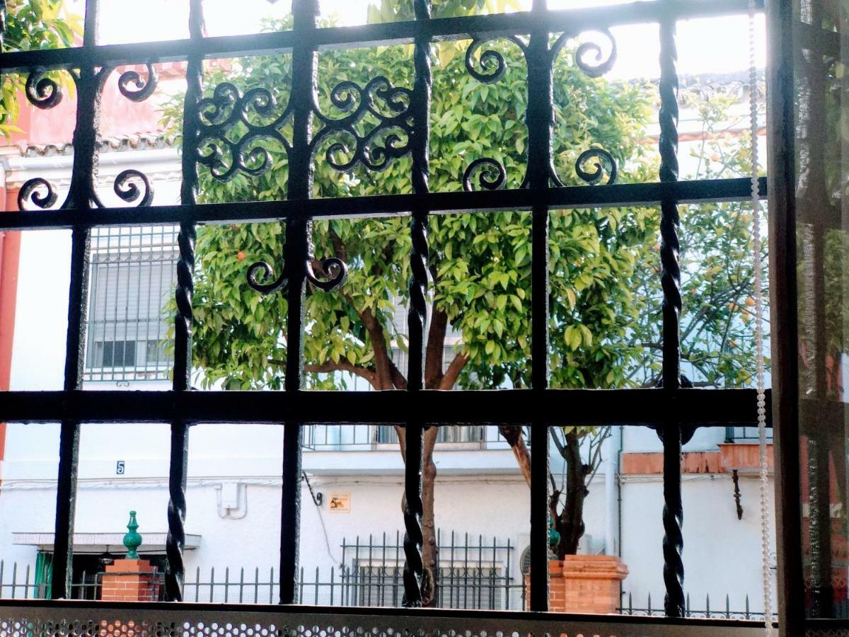 Wish Suite Barrio De Leon En Triana Sevilla Buitenkant foto